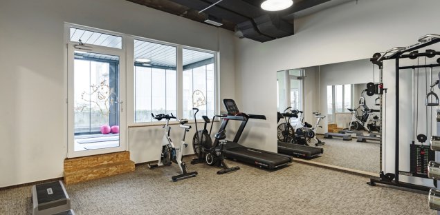 IBIS STYLES FUZZY LOG